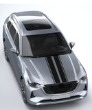 Silver car with black stripes on a light gray background