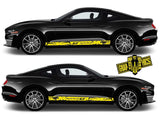 Side view of Ford Mustang with custom vinyl sport stripes decal on doors