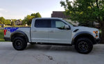 Decal Sticker Vinyl Side Racing Stripes for Ford F-150 Raptor SVT