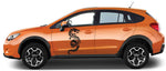 Vinyl Graphics Dragon graphic for car | UNIVERSAL STICKERS