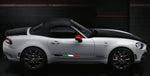 Vinyl Graphics NEW Italian Design Decal Sticker Stripe Stickers Compatible with Fiat Spider 124